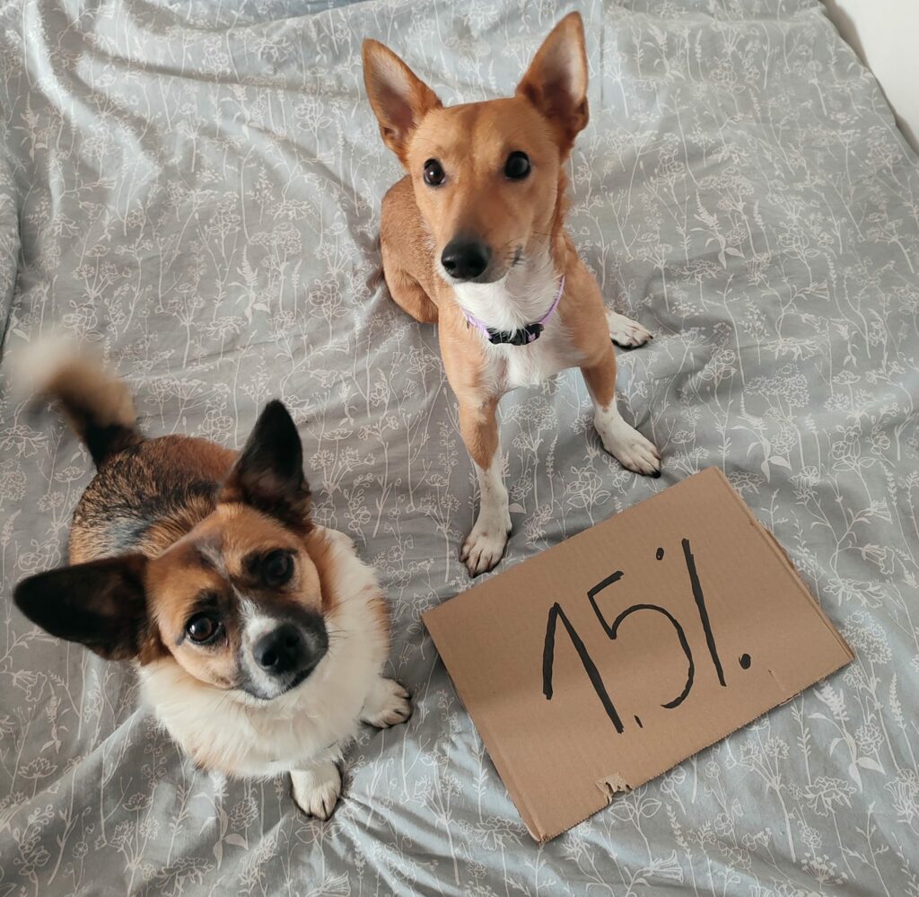 Dwa pieski zachęcają do przekazania 1,5 % na zwierzęta w Fundacji Przyjaciele Palucha, która uzyskała status opp.