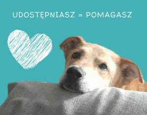 Udostępniasz - Pomagasz