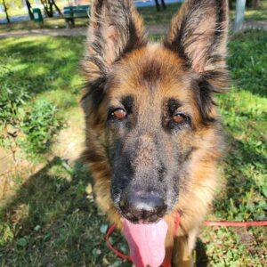 487406567_1075407934622478_8898560813081776948_n