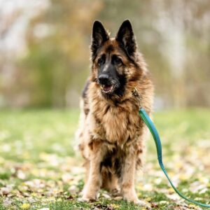 487858601_1075407587955846_3078535606829095705_n