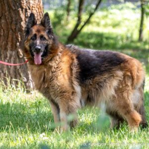 488677835_1075407744622497_2748355928288097533_n (1)