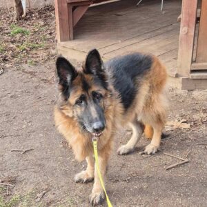 489032435_1077496111080327_5037364186299056846_n