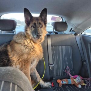 489420105_1076387667857838_3325549508078192488_n