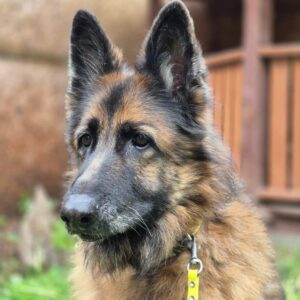 496001725_1105484564948148_6983663161698685293_n