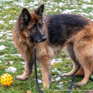 496617768_1107740254722579_7677752587625820114_n